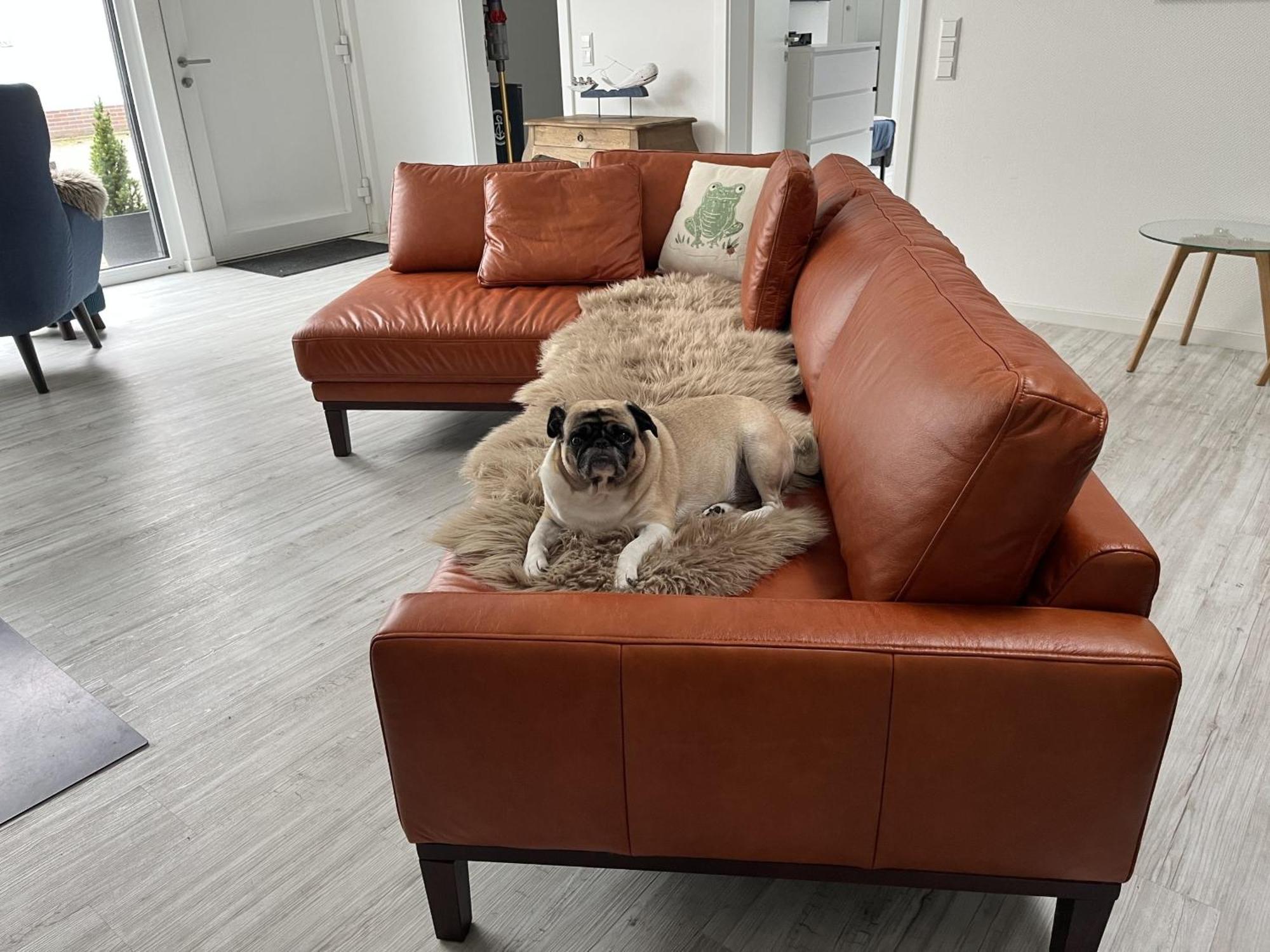 Ferienwohnung Nr 5 Wunstorf Exteriér fotografie